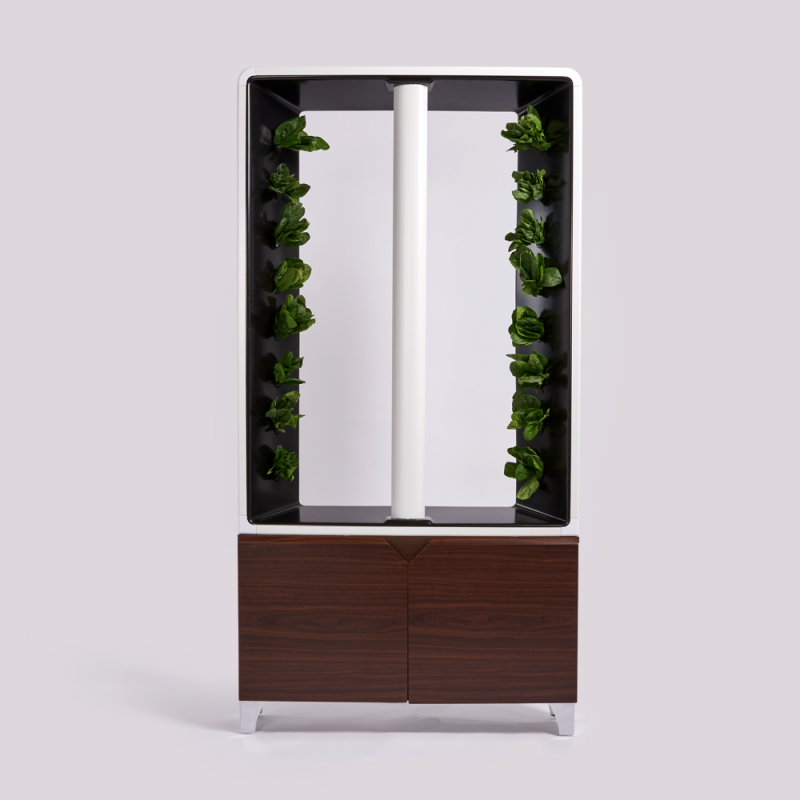 AEVA Walnut Cabinet