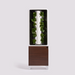 EVE Walnut Cabinet