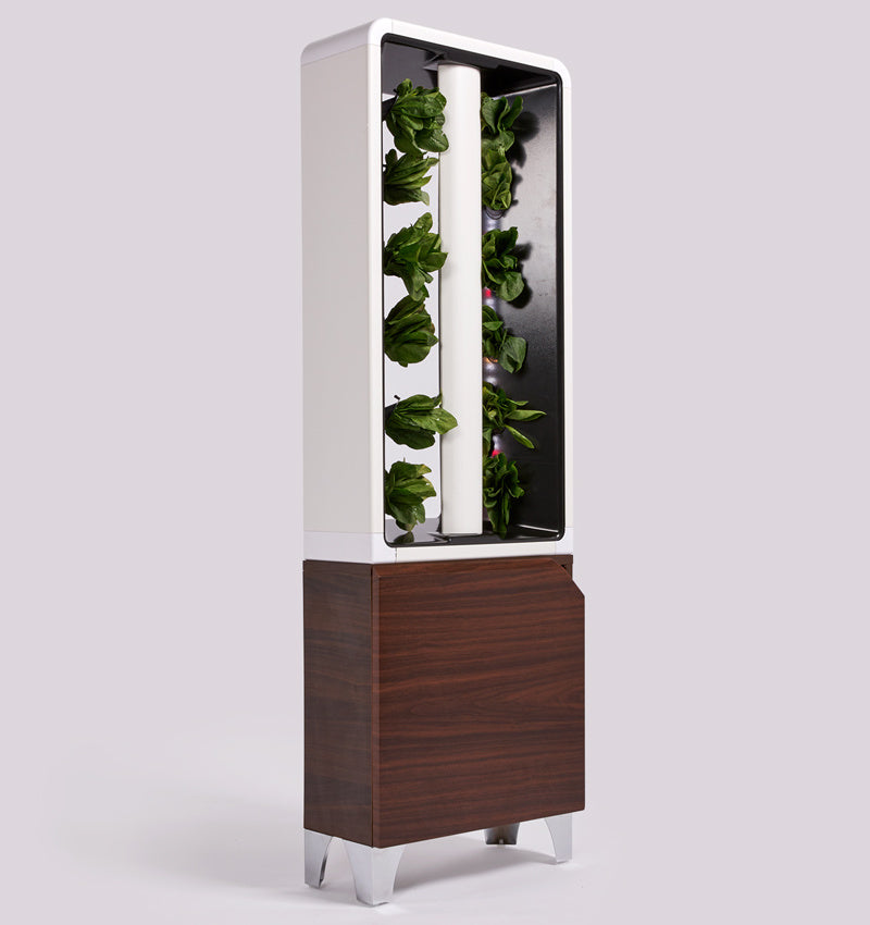 EVE Front Profile
